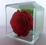 Rubis-Rose Rosa Rossa eterna sotto Vetro e Cube di Vetro, Rosa Naturale stabilizzata e Foglie di Rosa stabilizzate, Prodotto di Alta Gamma