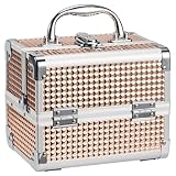 Valigetta porta Trucchi Professionale Cofanetto Completa Beauty Case Donna Viaggio, porta Smalti per Unghie, per Estetista Per Cosmetici Organizzatore con...